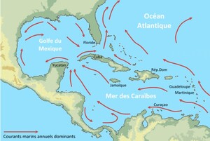 Courants marins golfe du Mexique 