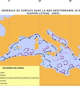 Courants en M&eacute;diterran&eacute;e 