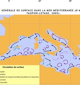 Courants marins en M&eacute;diterran&eacute;e 