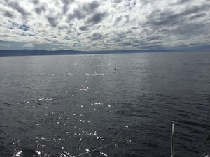 Ciel pommel&eacute; dans le Golfe de Gascogne