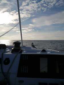Passager &agrave; bord