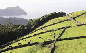 Terceira Island