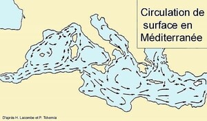 Courants en M&eacute;diterran&eacute;e 