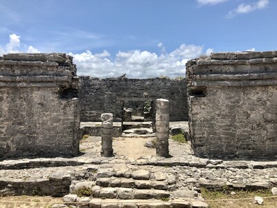 Iguane sur les ruines Maya