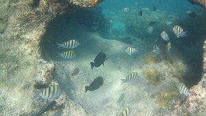 Arche sous-marine Mexique